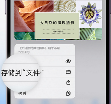 满洲里apple维修中心分享iPhone文件应用中存储和找到下载文件