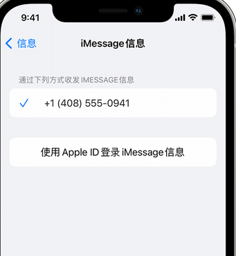 满洲里apple维修iPhone上无法正常发送iMessage信息 