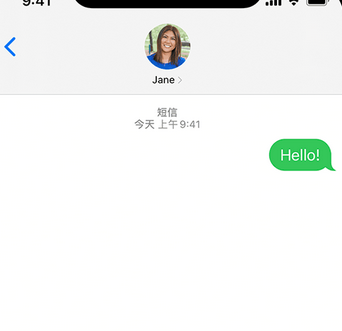 满洲里apple维修iPhone上无法正常发送iMessage信息