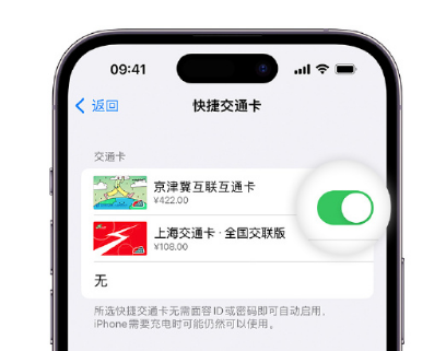 满洲里apple维修点分享iPhone上更换Apple Pay快捷交通卡手绘卡面 