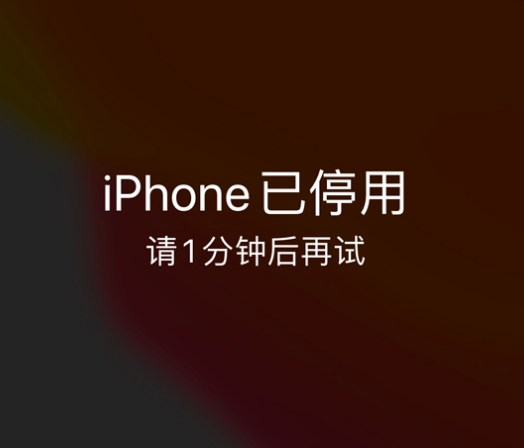 满洲里苹果手机维修分享:iPhone 显示“不可用”或“已停用”怎么办？还能保留数据吗？ 