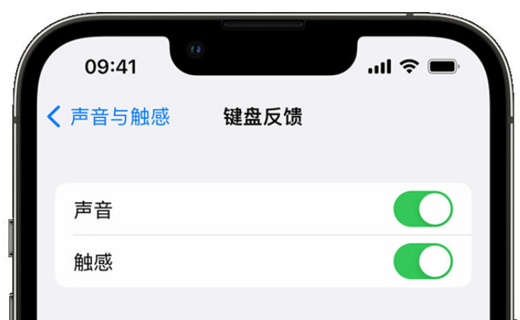 满洲里苹果手机维修分享iPhone 14触感键盘使用方法 