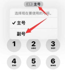 满洲里苹果14维修店分享iPhone 14 Pro Max使用副卡打电话的方法 