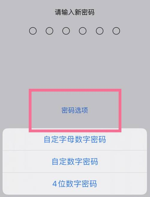 满洲里苹果14维修分享iPhone 14plus设置密码的方法 