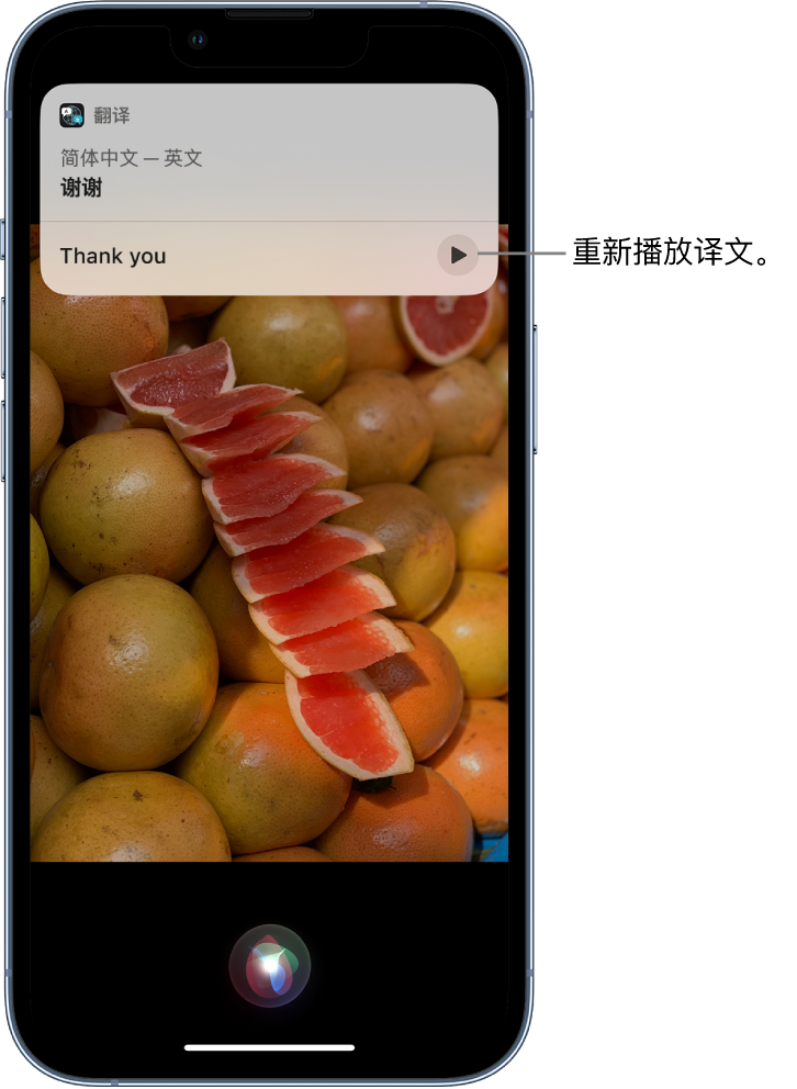 满洲里苹果14维修分享 iPhone 14 机型中使用 Siri：了解 Siri 能帮你做什么 