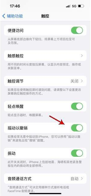 满洲里苹果手机维修分享iPhone手机如何设置摇一摇删除文字 